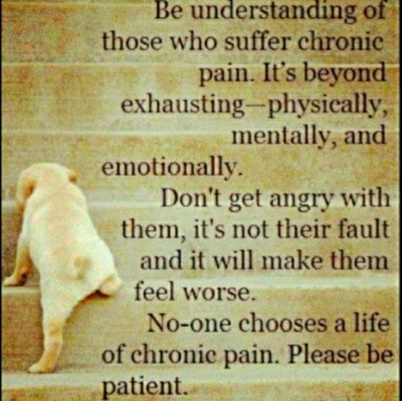 โ๏ธ Littlest Pet Shop Tug & Play Beethoven's 2nd # 7371 - Picture 5 of 14